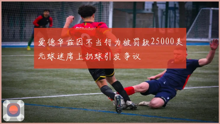 爱德华兹因不当行为被罚款25000美元球迷席上扔球引发争议